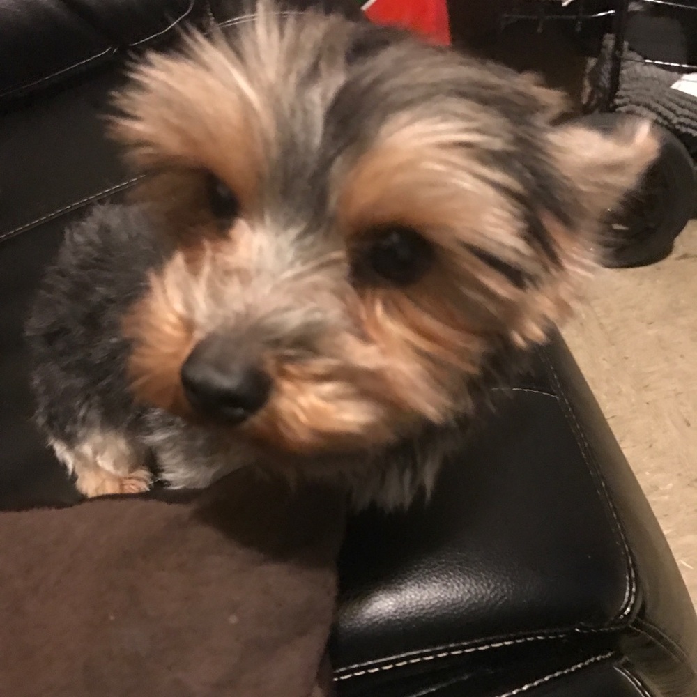 Meet your Posher, Trinicia